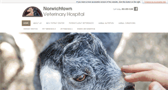 Desktop Screenshot of norwichtownvet.com